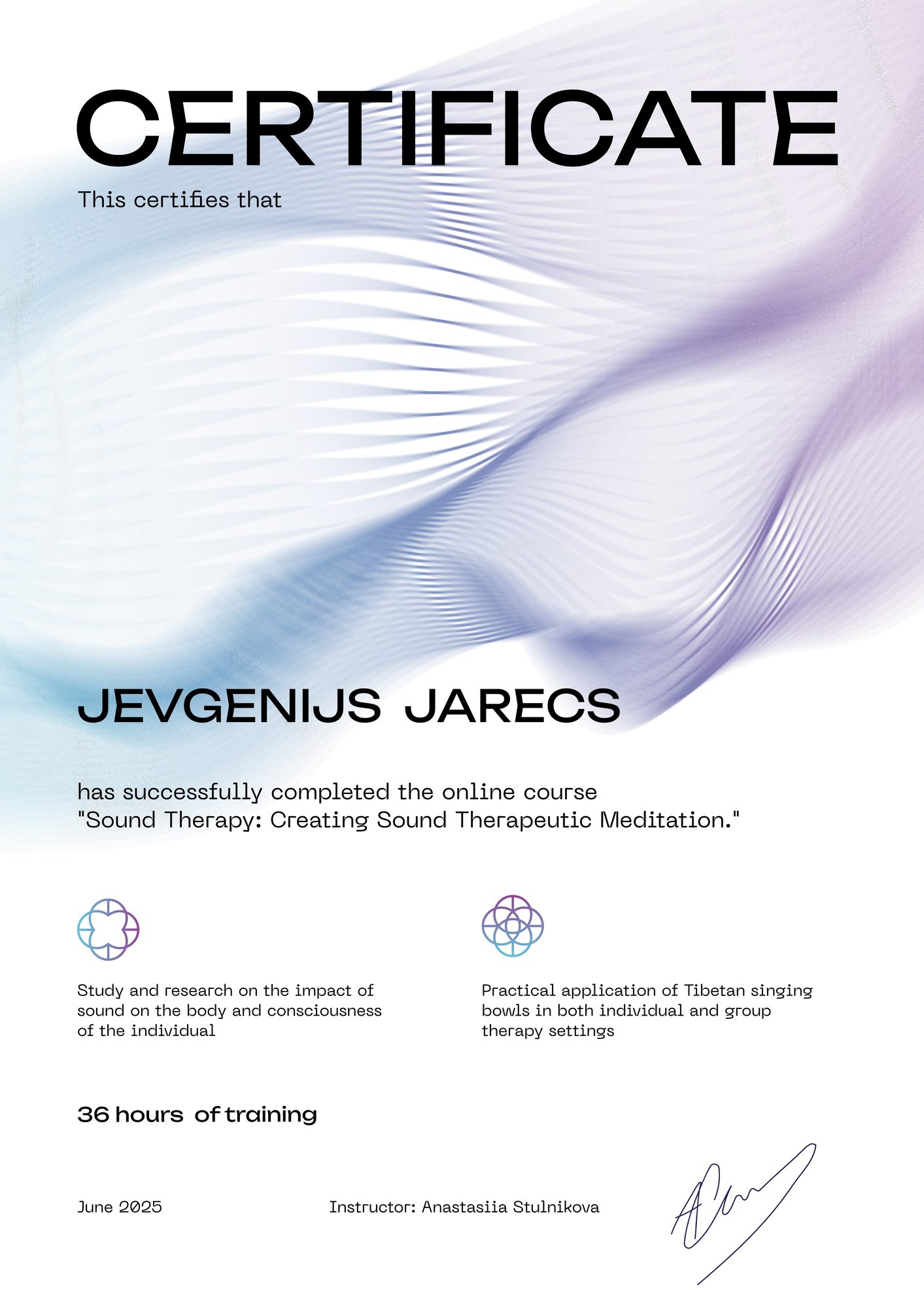 Training certificate 2 (2025)